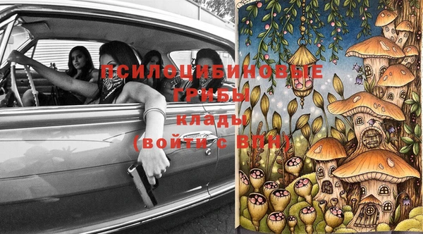 spice Ладушкин