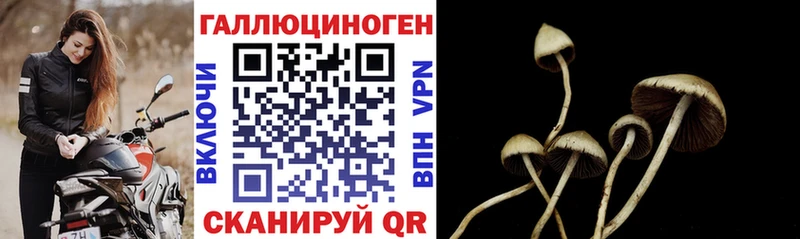 Купить где  Ленинск  Галлюциногенные грибы мицелий 